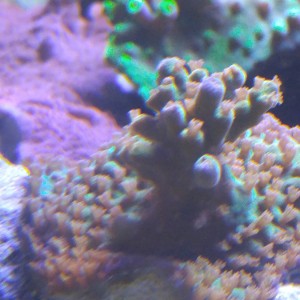 20160306_111336