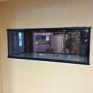IMG_0362